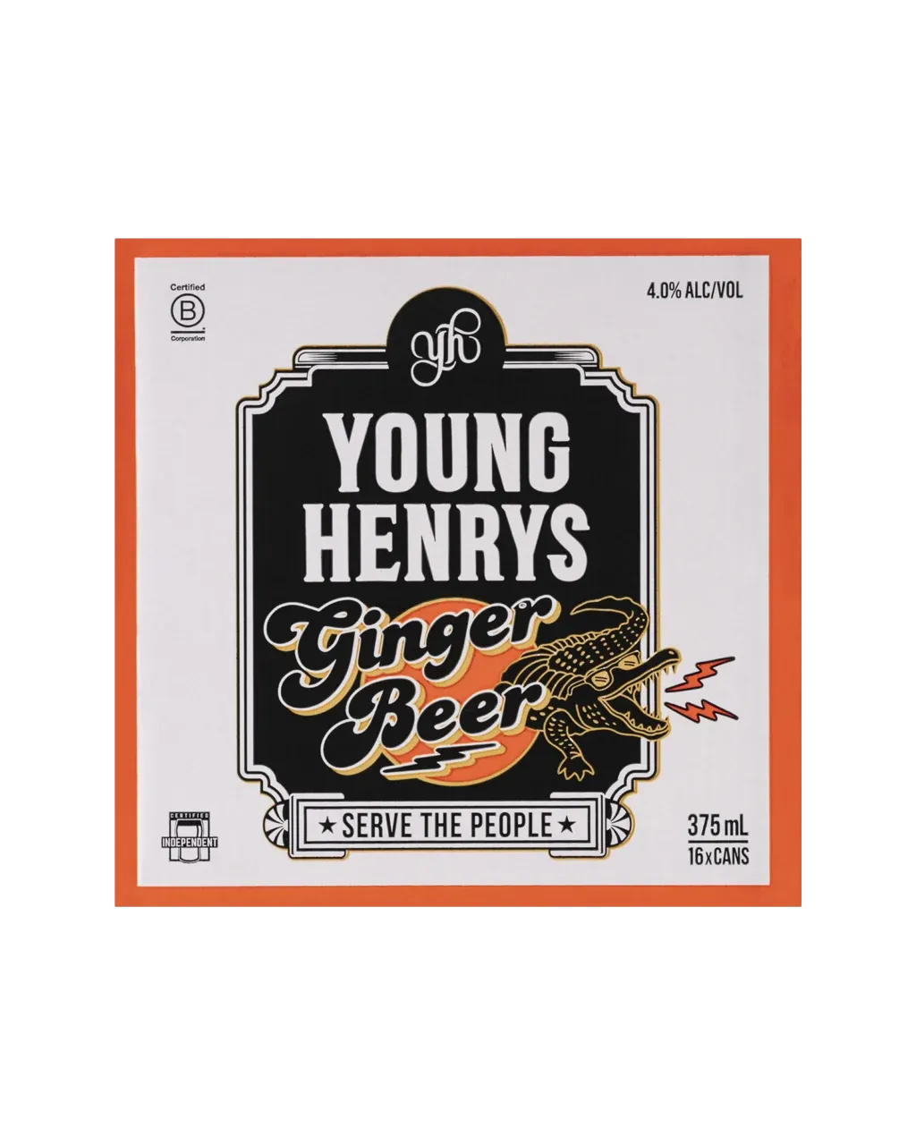 Young Henrys Ginger Beer Cans 375mL 16 Pack