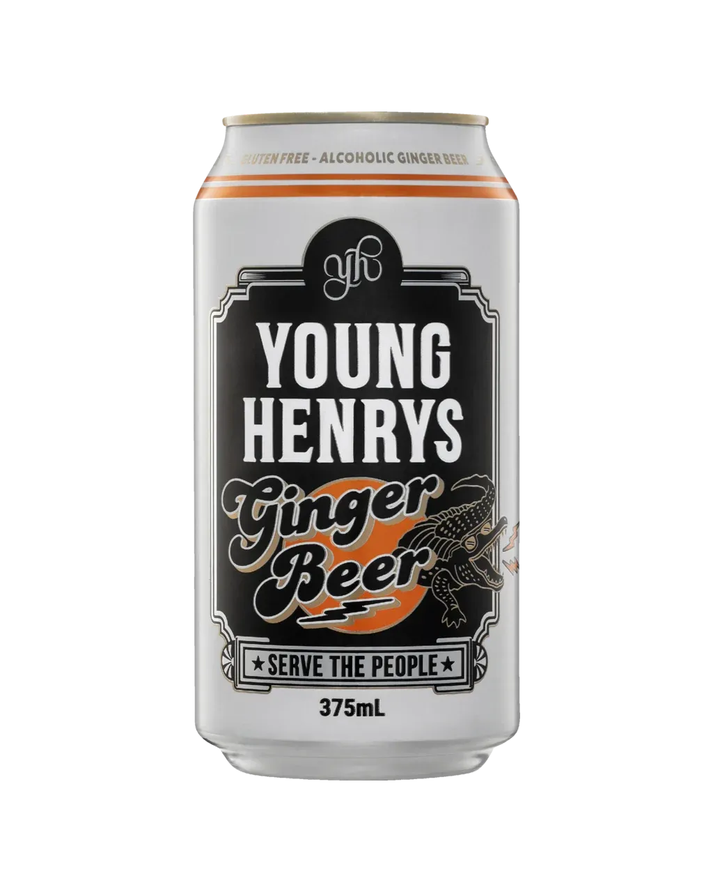 Young Henrys Ginger Beer Cans 375mL 16 Pack